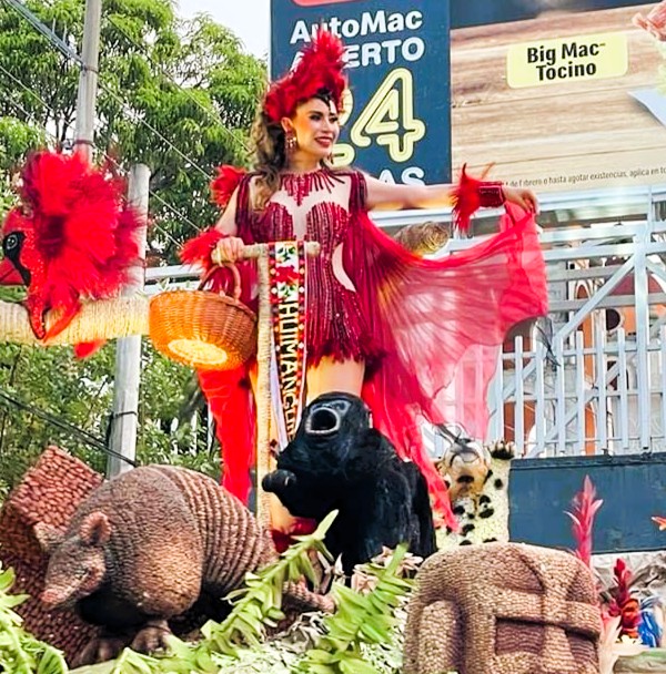 Ejemplo de plisado circular 6